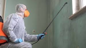 Best Industrial Mold Remediation  in Brocton, NY